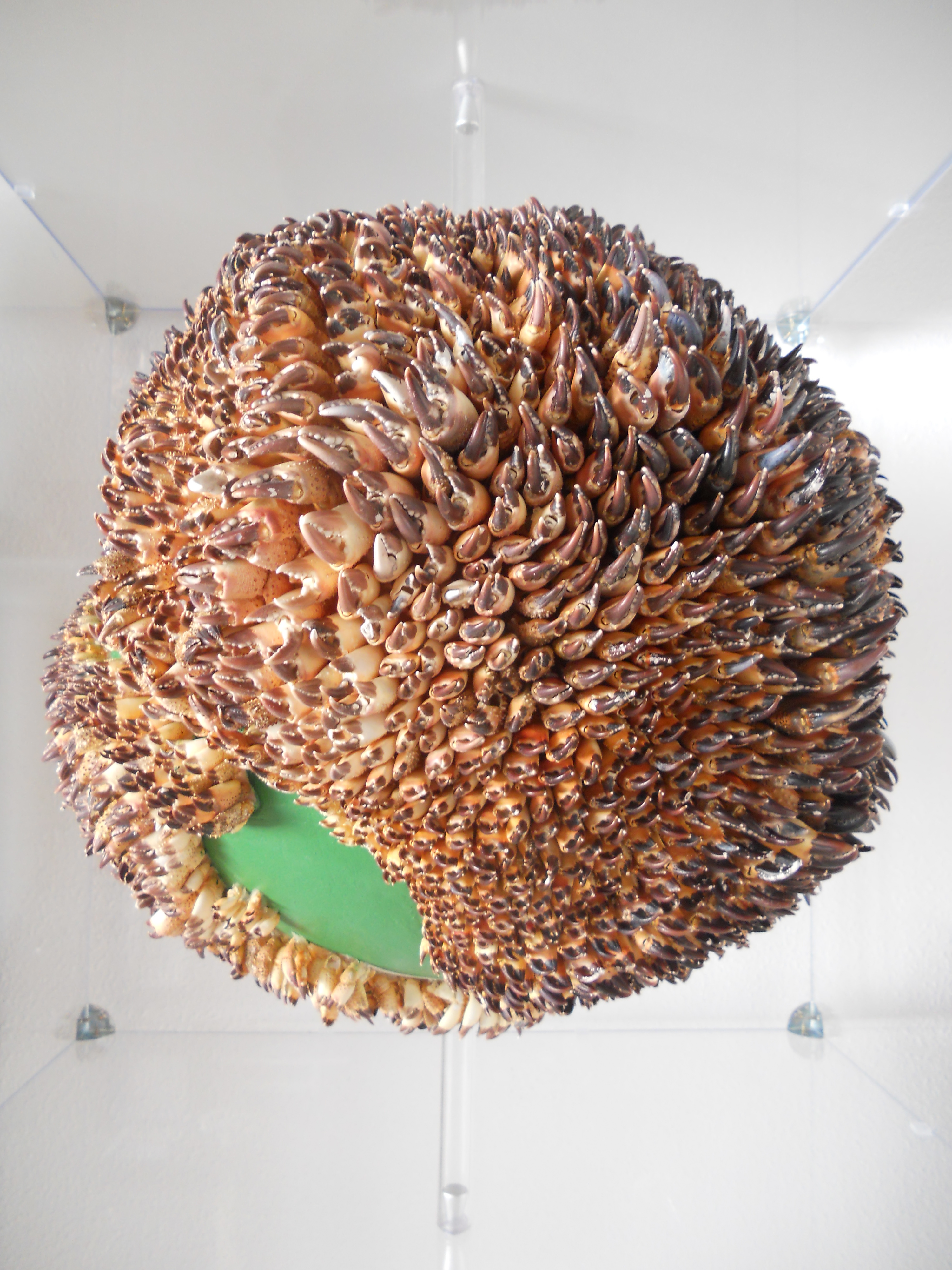 Gier (Hohe Aufl&ouml;sung)